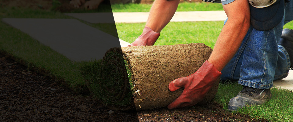 Villa Park Landscapers